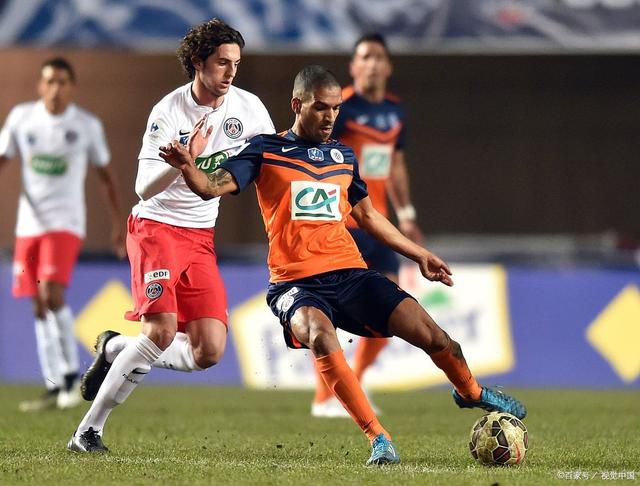 全免费观看一级