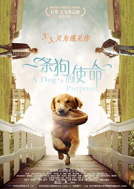 巨大进出侠女花苞之疼h